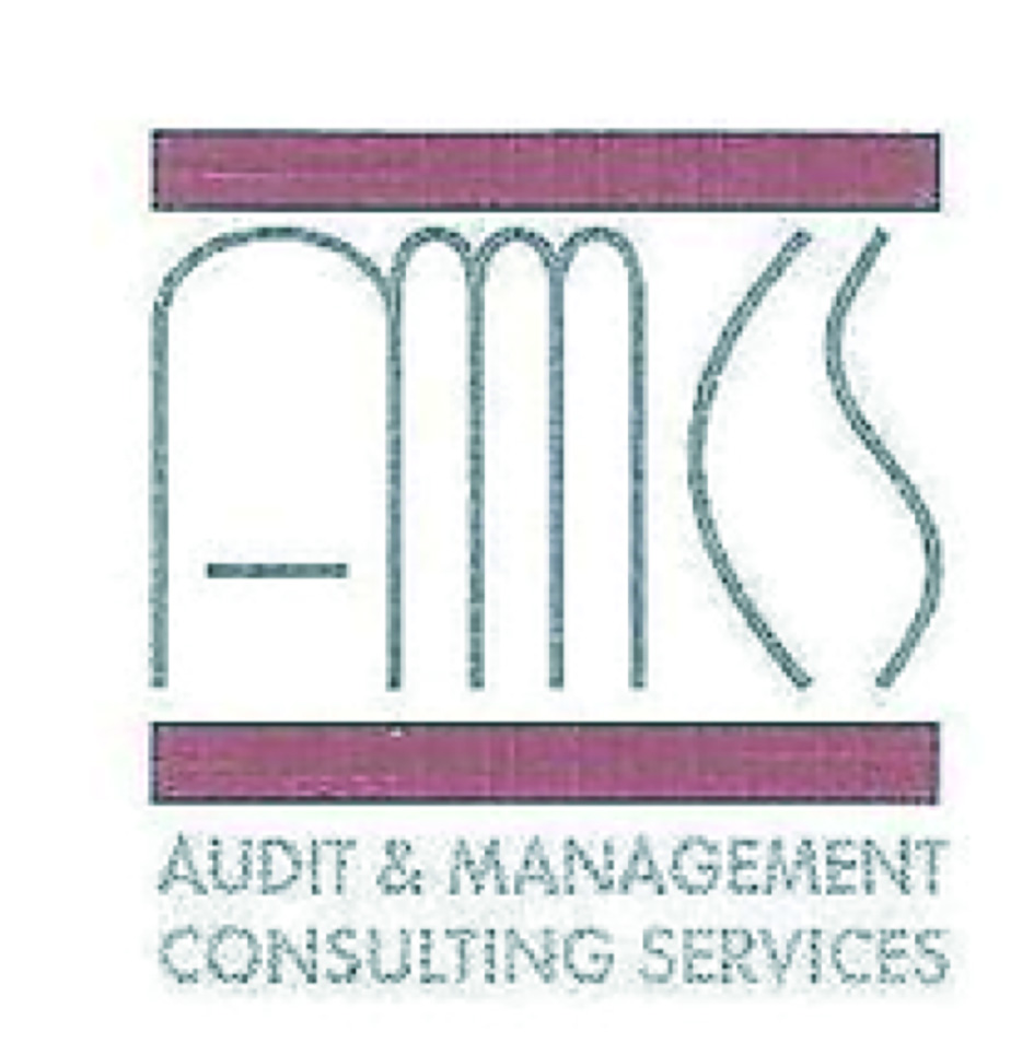 Audit & Management Consulting Services AMCS