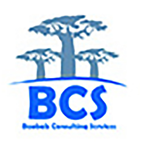 BAOBAB CONSULTING SERVICES - BCS