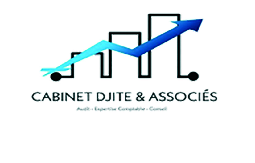 pdjite@cabinet-djite.com